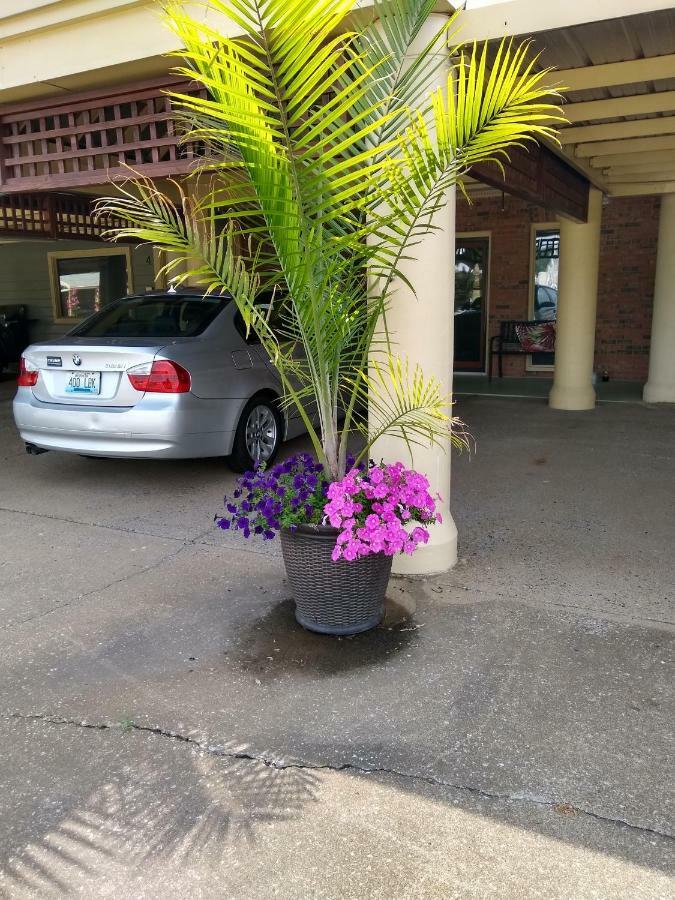 Southern Comfort Suites Mayfield Екстериор снимка